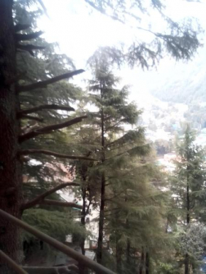Himalayan Hostel Snowline Trekkers Hostel
